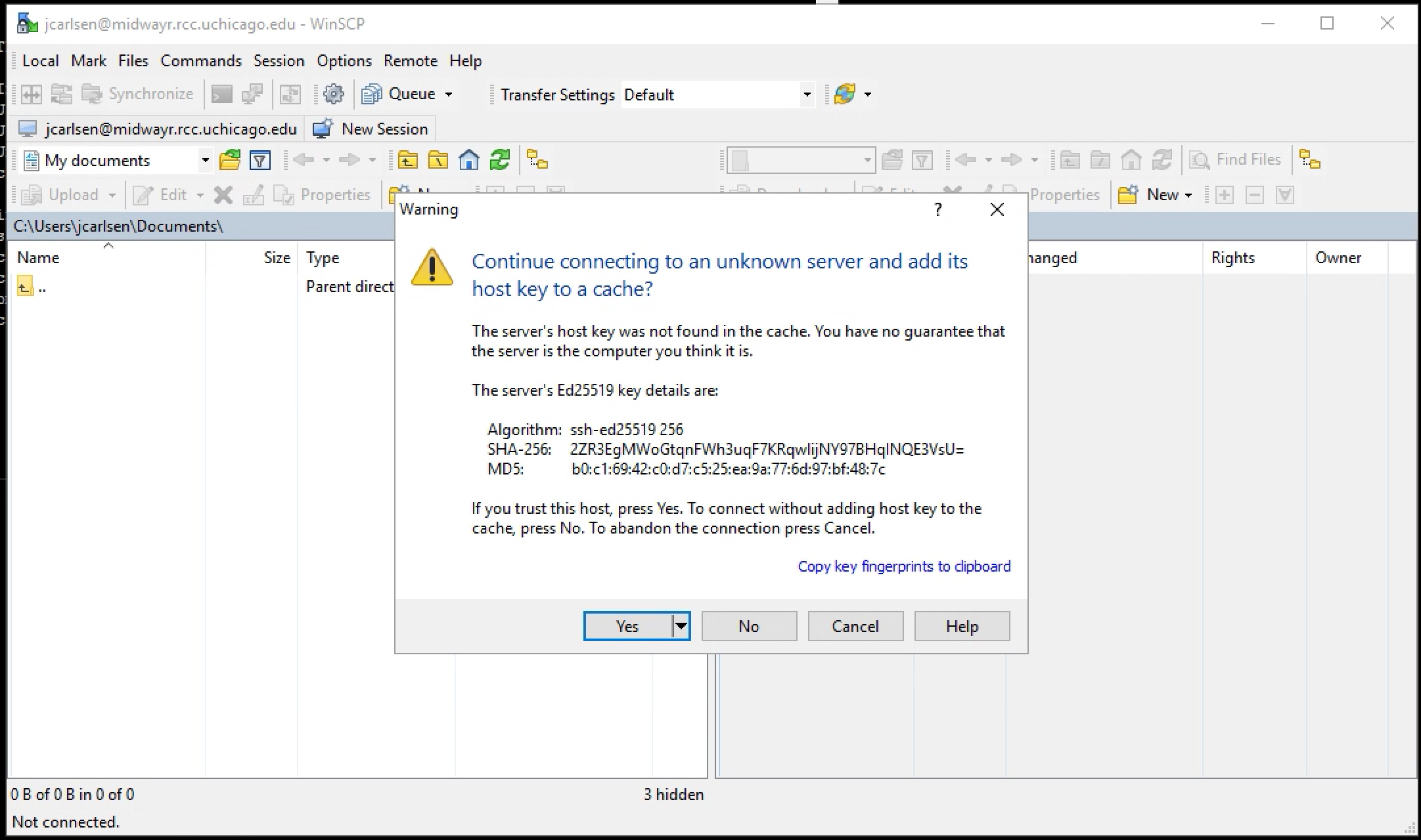 screenshot showing VMware Horizon data transfer
