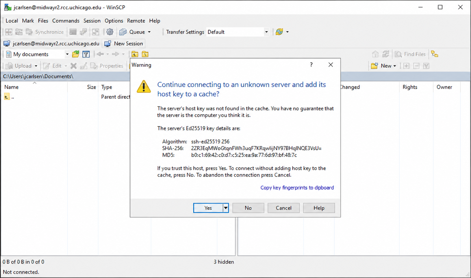 screenshot showing VMware Horizon data transfer