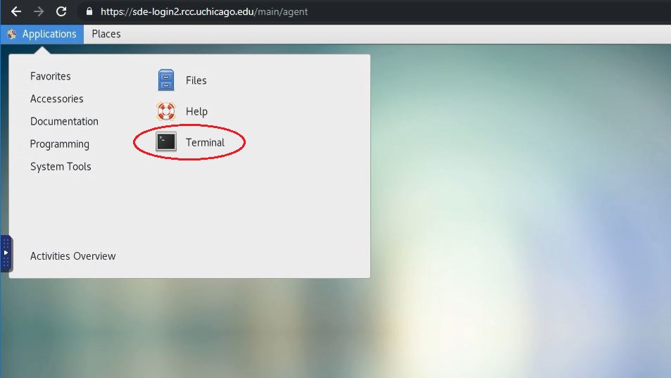 Screenshot showing ThinLinc terminal launch